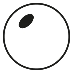 Standard Progressive Lenses