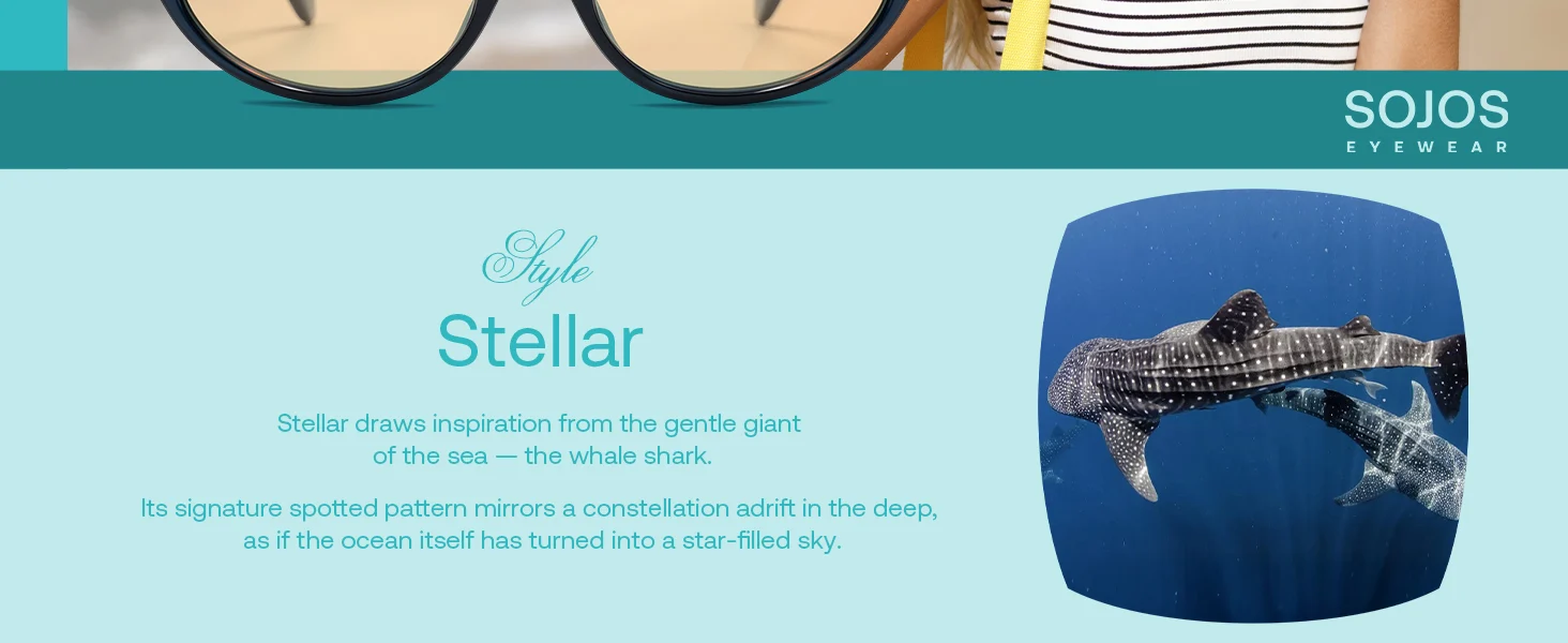 Stellar - Image 26